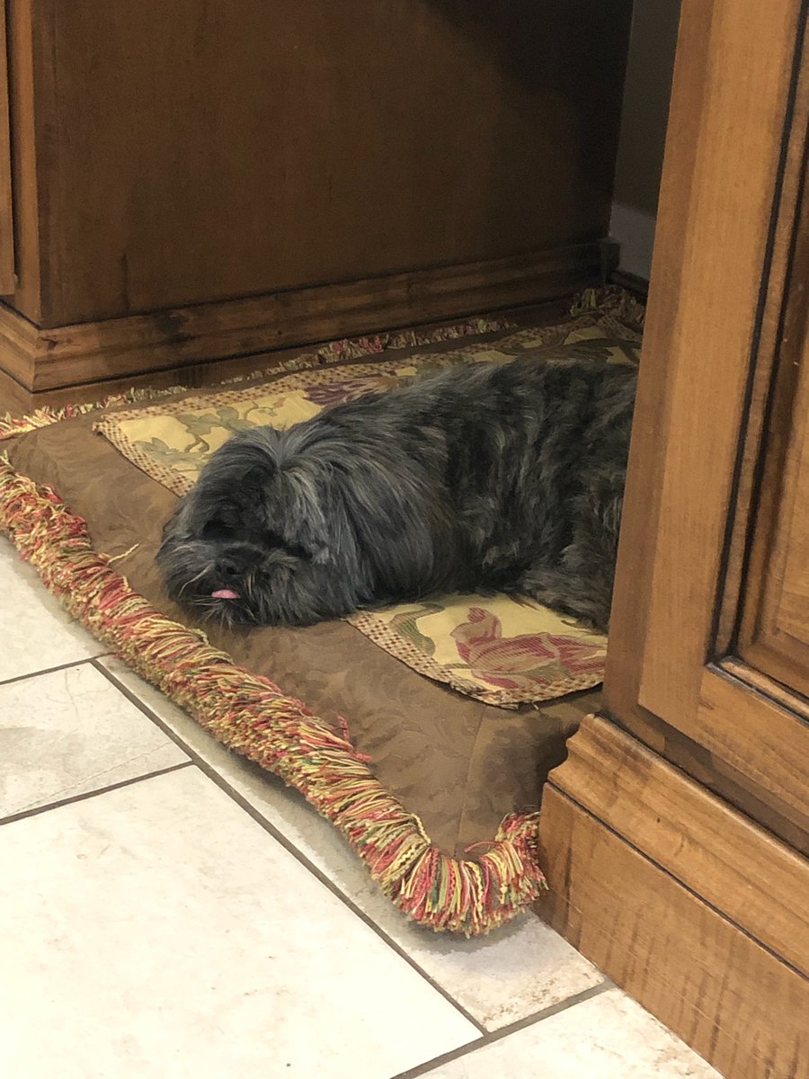 My fam has Daily Joan and Daily Soot threads and my heart misses them both so much