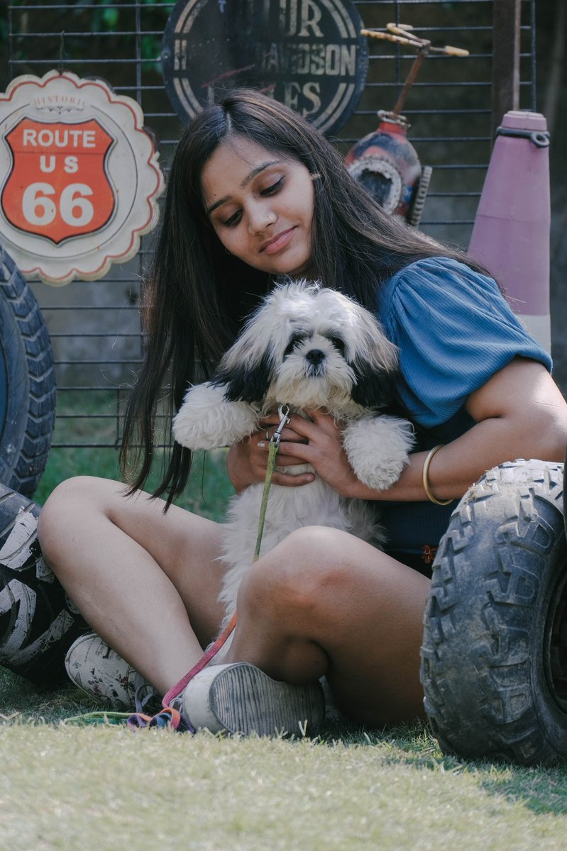 htcity's tweet photo. This #InternationalDogDay2022, take your pawsome pals for a fun day out filled with games, and tasty treats

Read 👉 https://t.co/F8hzvlXnfi
Story by @Nainaarora8 

#InternationalDogDay https://t.co/o6RSP88XMb