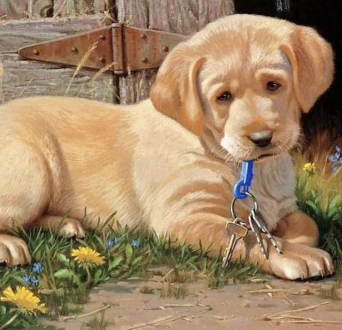 Художник Jim Lamb
