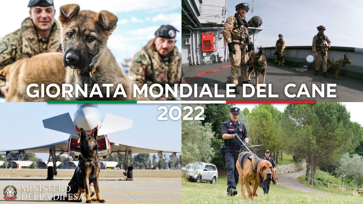 MinisteroDifesa's tweet photo. Ogni giorno, in Italia e all’estero, operano al fianco del Personale delle #ForzeArmate 🇮🇹 per la sicurezza del Paese. 
Nella #GiornataMondialeDelCane, un'immagine che rappresenta un "grazie" per il prezioso servizio reso dagli amici a 4 zampe della #Difesa. 
#InternationalDogDay https://t.co/MLavBPOnqN