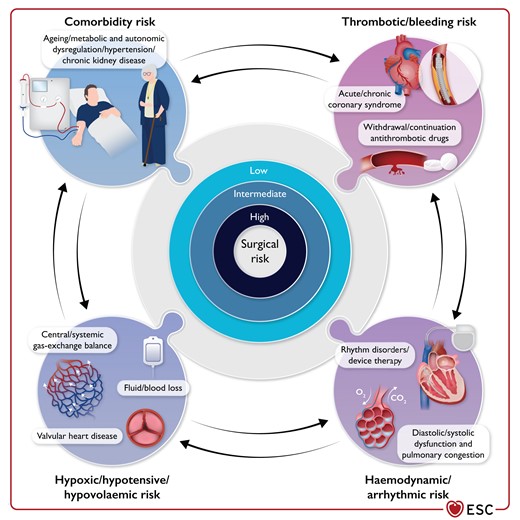 The 2022 ESC Guidelines on management of patients undergoing non-cardiac surgery are live, with revised flowcharts, a focus on biomarkers and peri-operative antithrombotic therapy, and new sections on cancer, frailty and patient perspectives. #ESCcongress academic.oup.com/eurheartj/adva…