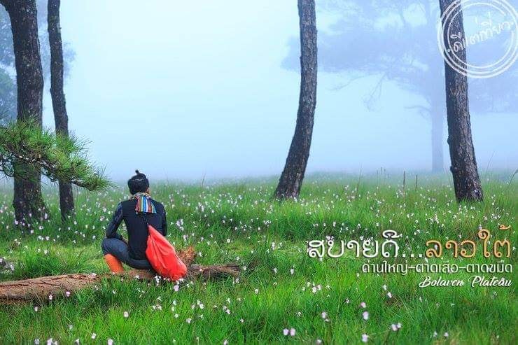 readmeSocialTH's tweet photo. "สิบปากเว่าบ่เท่าตาเห็น #ที่ราบสูงโบลาเวน มนต์เสน่ห์แห่ง #ลาวใต้" #เย็นสบายทั้งปี ว่ากันว่าที่นี่ไม่มีฤดูร้อน อุณภูมิเฉลี่ยทั้งปี ไม่เกิน 25 องศาเซลเซียส
อ่านรีวิวการเดินทาง https://t.co/4OzUCv8nqa
รีวิวโดย ดีแต่เที่ยว #อ้ายกึ่มมักเล๊าะ #ReadmeTH #รีวิวท่องเที่ยว #เที่ยวลาว https://t.co/QHyUnNpLxh