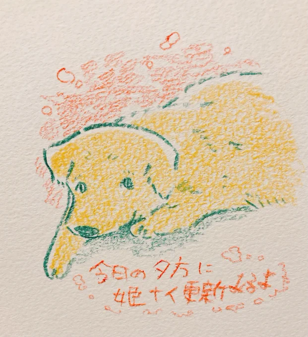 こんにちわん〜〜〜〜〜 