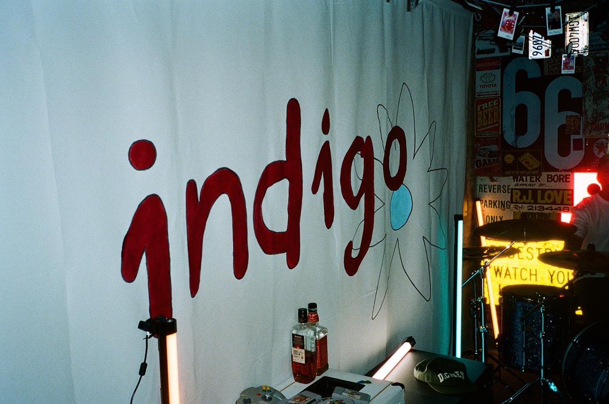 indigo. tweet media