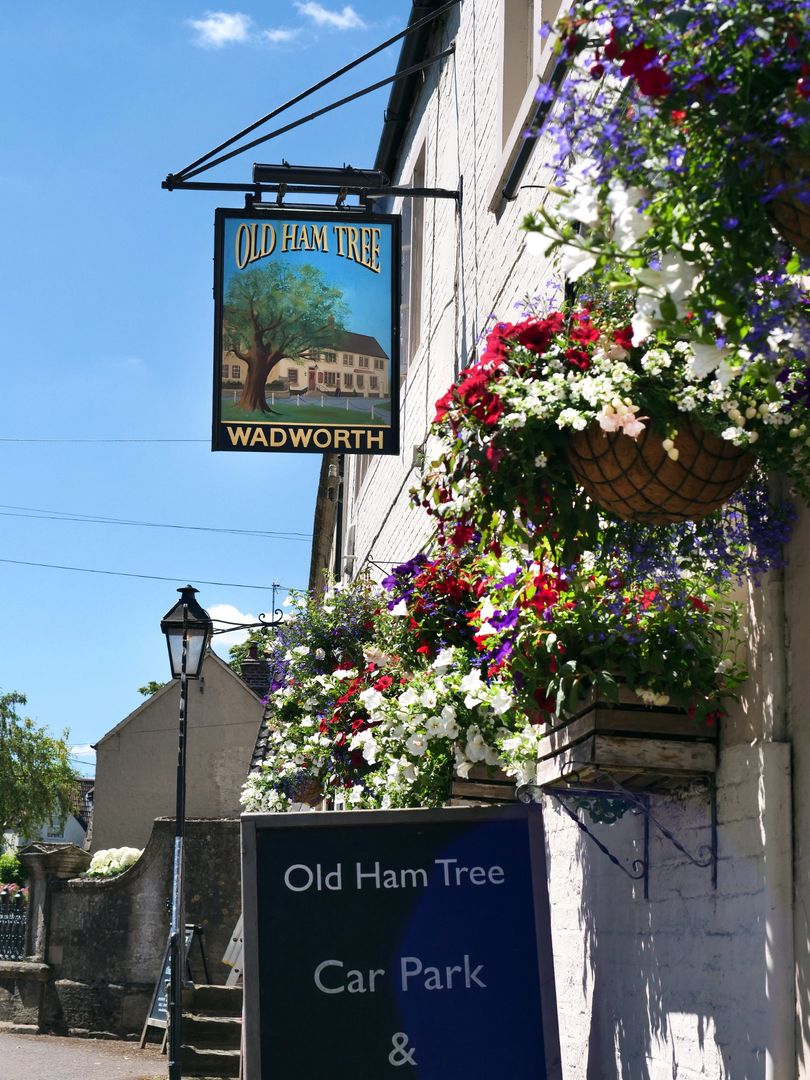 The Old Ham Tree tweet media