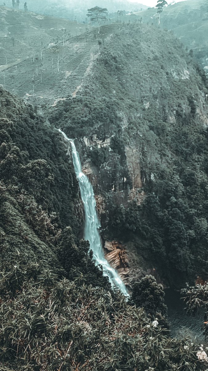 kishorr02's tweet photo. It’s all downhill from here 💛✨
.
.
.
#nature #Waterfall #photography https://t.co/YtcZT09w9L