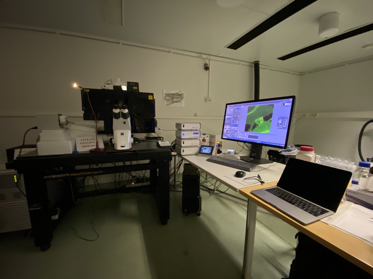sujanghm's tweet photo. My office for today! Live cell imaging on #Zeiss #LSM880 with microfluidics. 
This is where #Fast4DReg project was initiated! 
https://t.co/MwIEWS2EPE https://t.co/rzUUeFq9N1