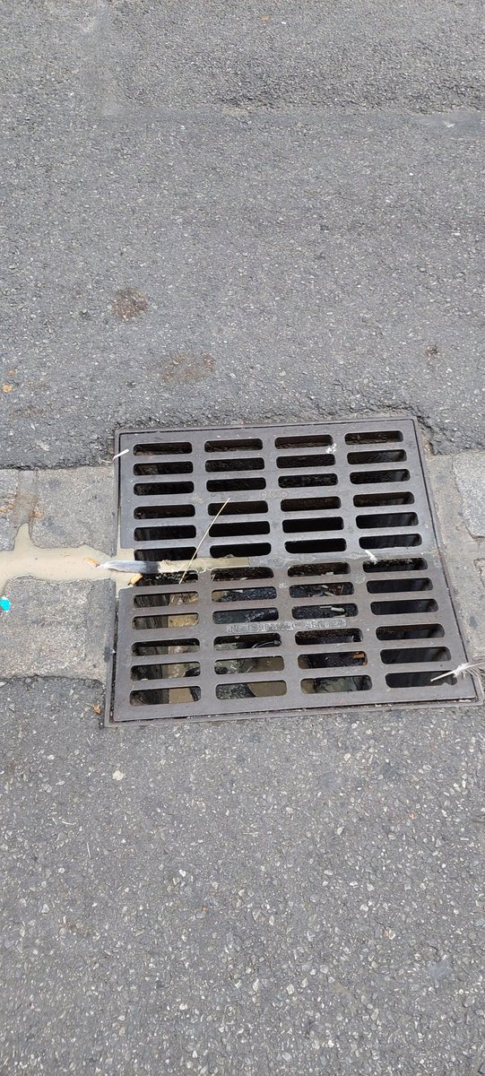 RmiMartin6's tweet photo. @NantesMetropole Quand le camion de poubelles de Nantes métropole vide sa cuve dans la rue, ça fini dans les eaux pluviales. Les mecs sont censés nettoyer les rues 🤣 et surtout bravo l'écologie 👌😡 https://t.co/zrT90FlY4o