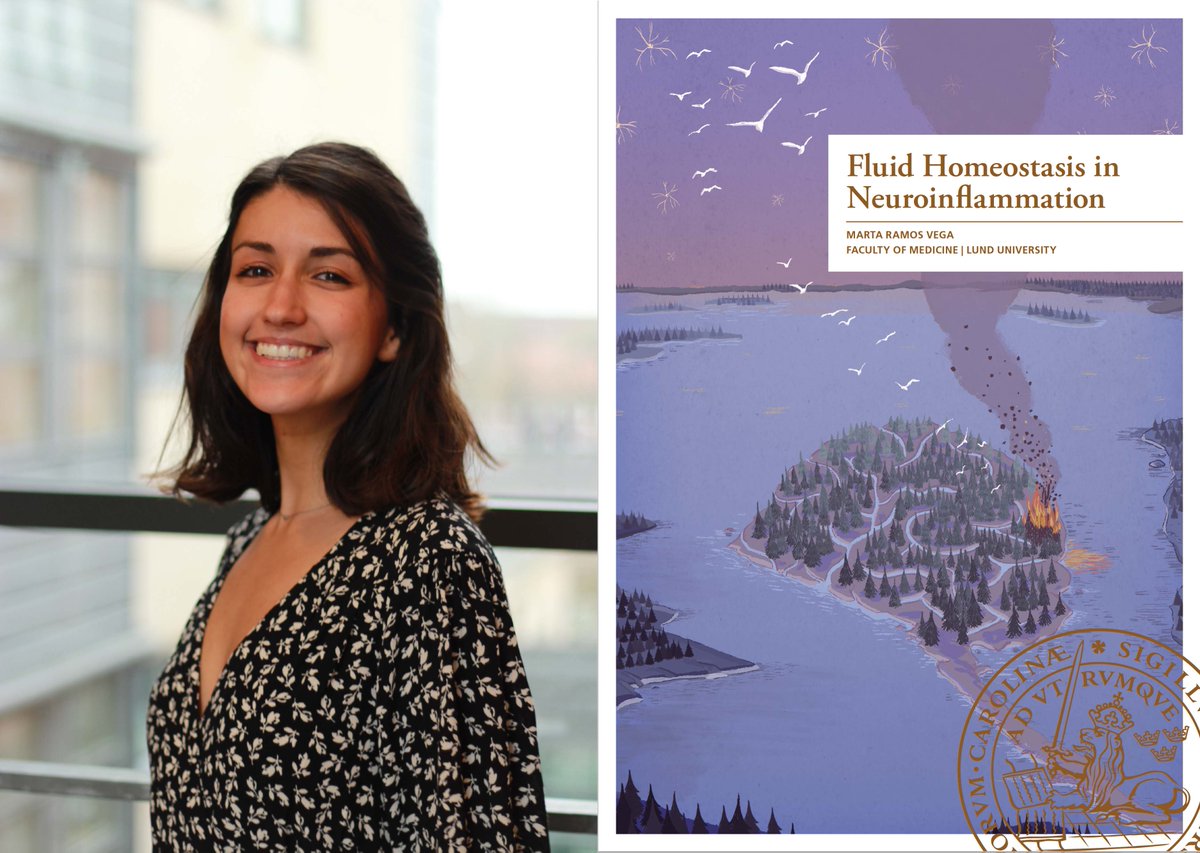 Fri 9 Sept, @martarrv defends her #PhD thesis about #inflammation and the #glymphaticsystem in the #brain. Read about her findings @Iben_Lundgaard lab and other missions to boost your career! @Medfak_LU #careerdevelopment #youngresearcher  multipark.lu.se/article/inflam…