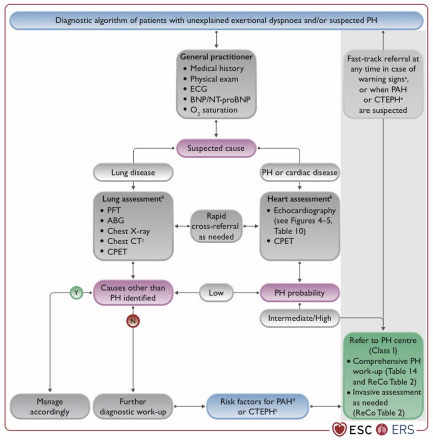 Diego Segura-Rodríguez tweet media