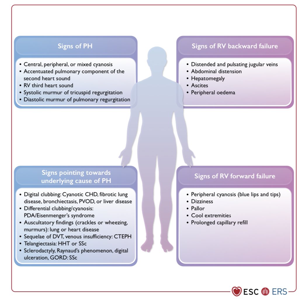 Diego Segura-Rodríguez tweet media