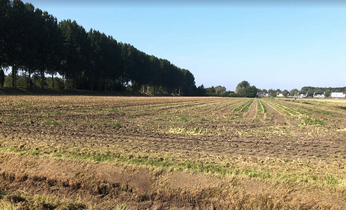 Groen licht voor Platepolder; rechter veegt bezwaren tegen wijk Heinkenszand van tafel

heinkenszand.info/groen-licht-vo…