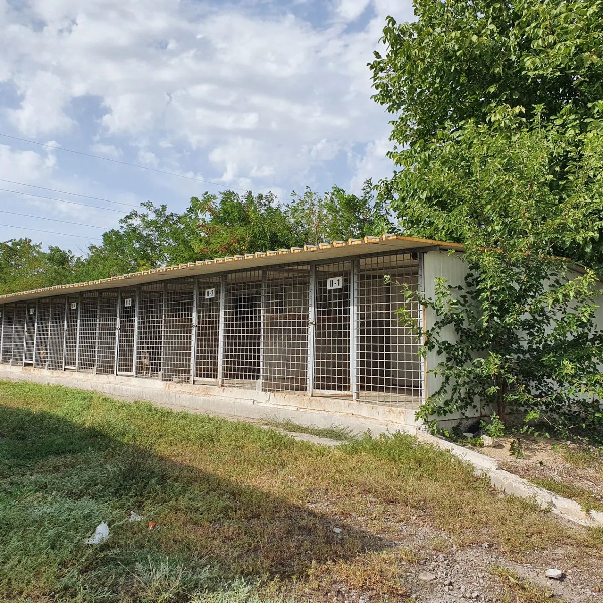 ROLDAOrg's tweet photo. Happy #roldadogs at our shelter in Romania!
β₯οΈππ https://t.co/1S7qY8WIvl