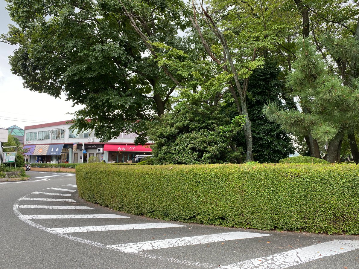 くまはうす tweet media
