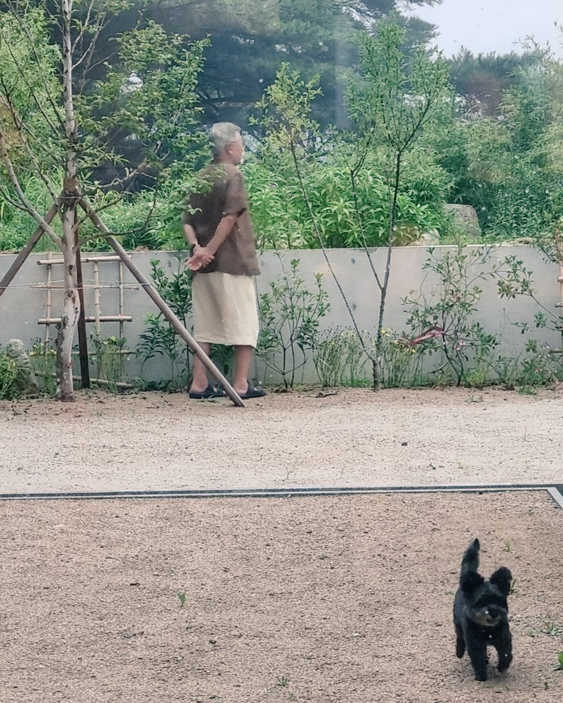 깊은 산 속 옹달샘 누가 와서 먹나요?
집에 물 있는데....☺️🥲
괜히 밖에서 물 마시는 토리 너~~~
'개아련' 레벨~~업!!

근데..울아부지는 뭐하시노?
😆😅🤣

#개아련대마왕
#보고싶은토리