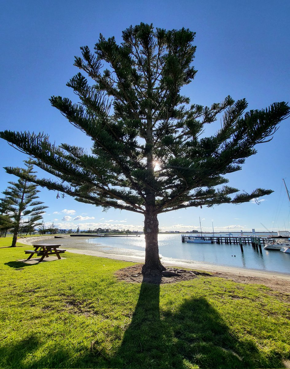 Rob2563's tweet photo. Me, the Jetski, and Port Albert for the week... 🐟

#portalbert #visitvictoria #gippsland #Yarram #countrylife #regionalvictoria https://t.co/UugtHN3ijX