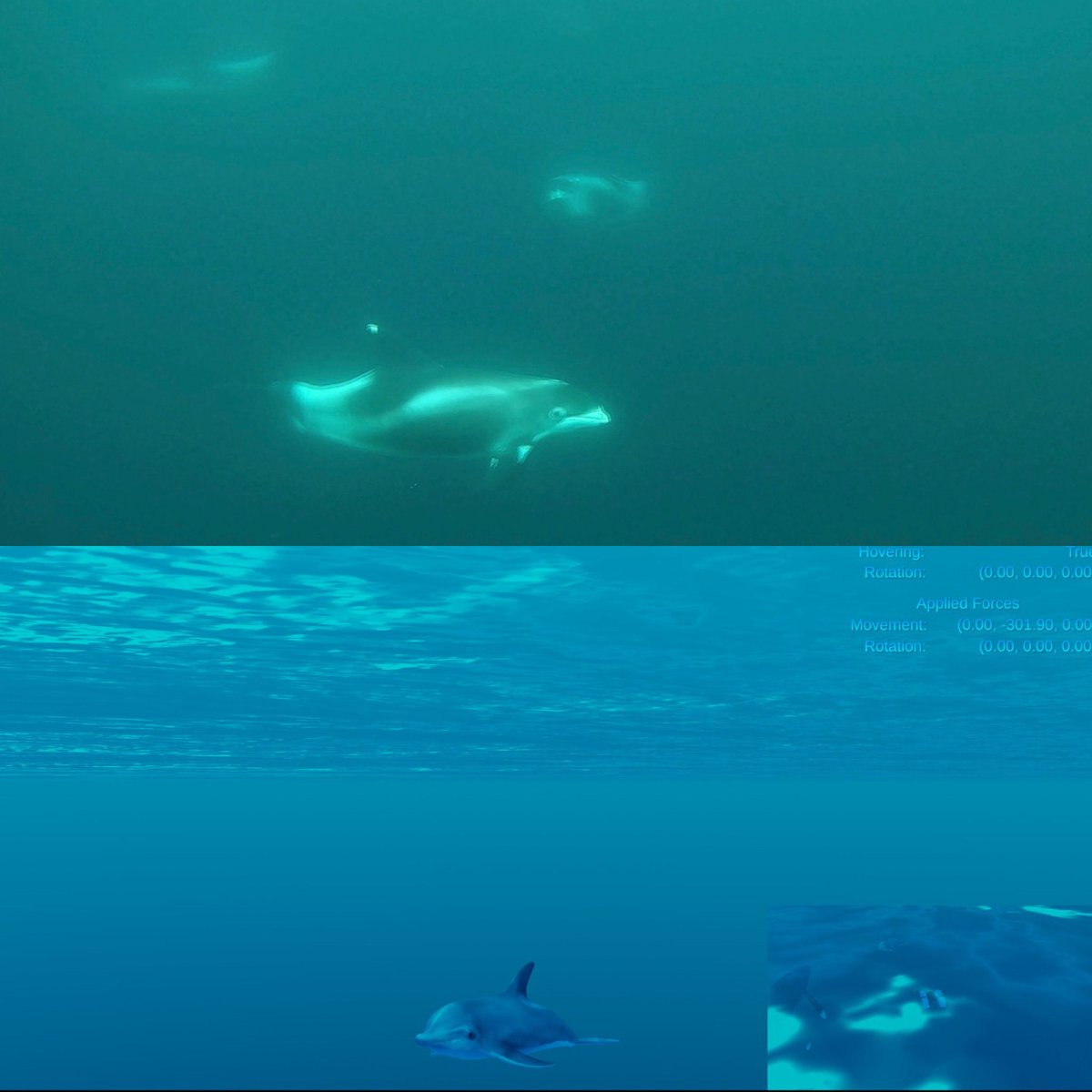 Fantastic being out on the water yesterday, two separate encounters with white-beaked dolphin pods, and a minke whale to top it off - just the boost I needed to start writing thesis chapter 3 of 7 on #sim2real