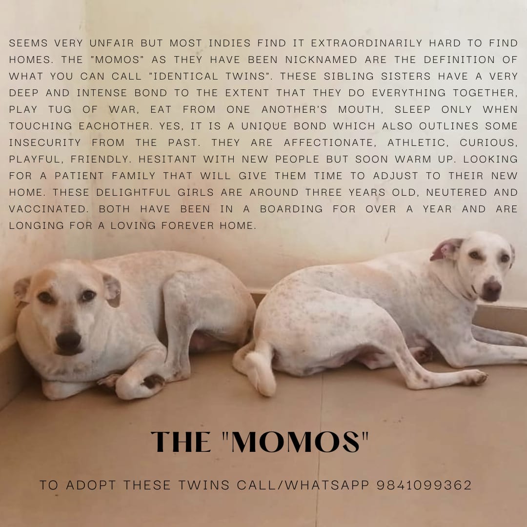 oopsipokedu🔪 tweet media