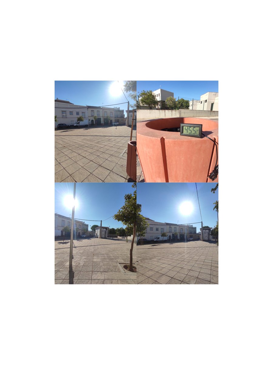 sostenibleyverd's tweet photo. Esa #Barbarie,#Barbaridad y #Desprecio hacia los #Arboles lo estamos sufriendo en #Utrera con esté #Alcalde #Socialista.
#PlazasDurisisimas con 43° a las 19 h.
Después de haber #Talado para hace una #PlazaBonita
La #EsteticaSocialista #Malditasea sólo #Destruye https://t.co/jhKhzCSHE7