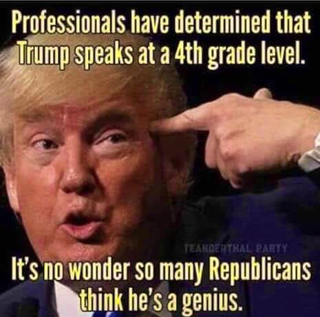 HeinzRudolf155's tweet photo. @dindin6 @lisasmith1150 @Suzyqfit4u @PrezLives2022 @Eathbound420 @OmarRiverosays @donwinslow @davenewworld_2 @Jaspercatrules @Jane_with_a_y @laney2003us @funder @microtome45 @AgapeLove28 @BryanMatthews23 @antifaoperative @MeliMels99 Dindin❤️❤️❤️  I agree completely 
#TrumpIsANationalSecurityRisk 
#DisgraceToAmerica https://t.co/oRarUmEM8A