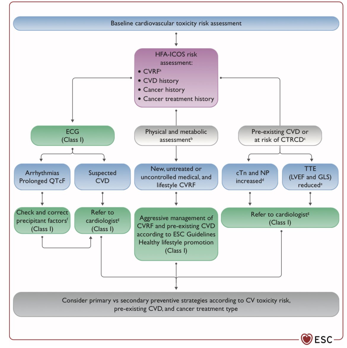 SeguraCardio's tweet image. ⚠️2022 @escardio Guidelines on #cardiooncology

#CardioTwitter #ESC22 #ESCRME @radcliffeCARDIO
