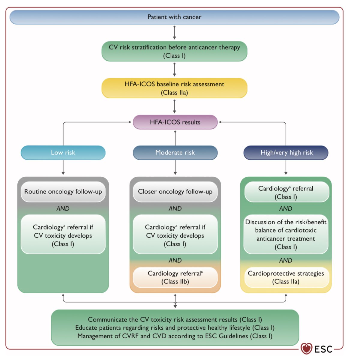 SeguraCardio's tweet image. ⚠️2022 @escardio Guidelines on #cardiooncology

#CardioTwitter #ESC22 #ESCRME @radcliffeCARDIO