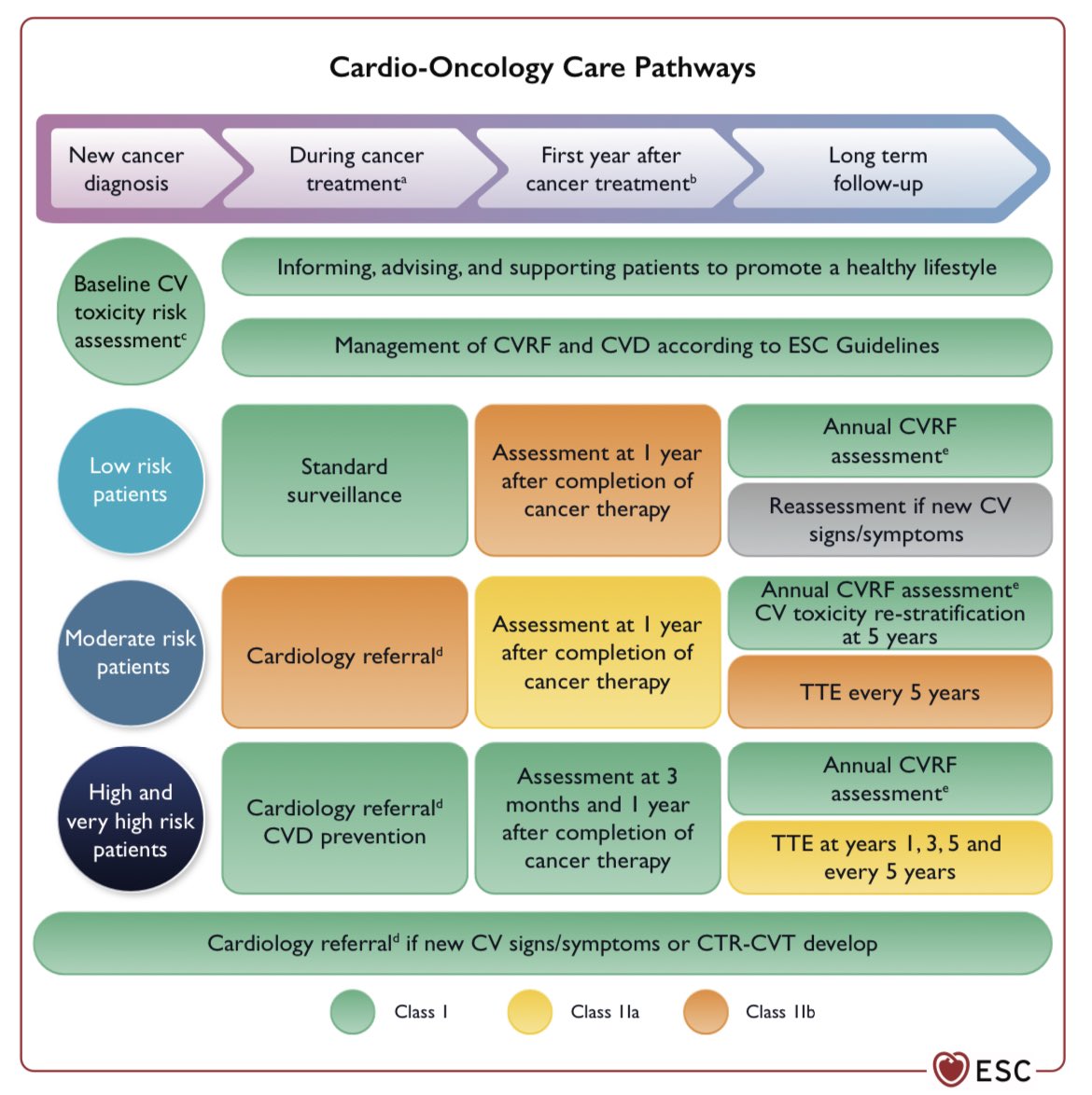 SeguraCardio's tweet image. ⚠️2022 @escardio Guidelines on #cardiooncology

#CardioTwitter #ESC22 #ESCRME @radcliffeCARDIO