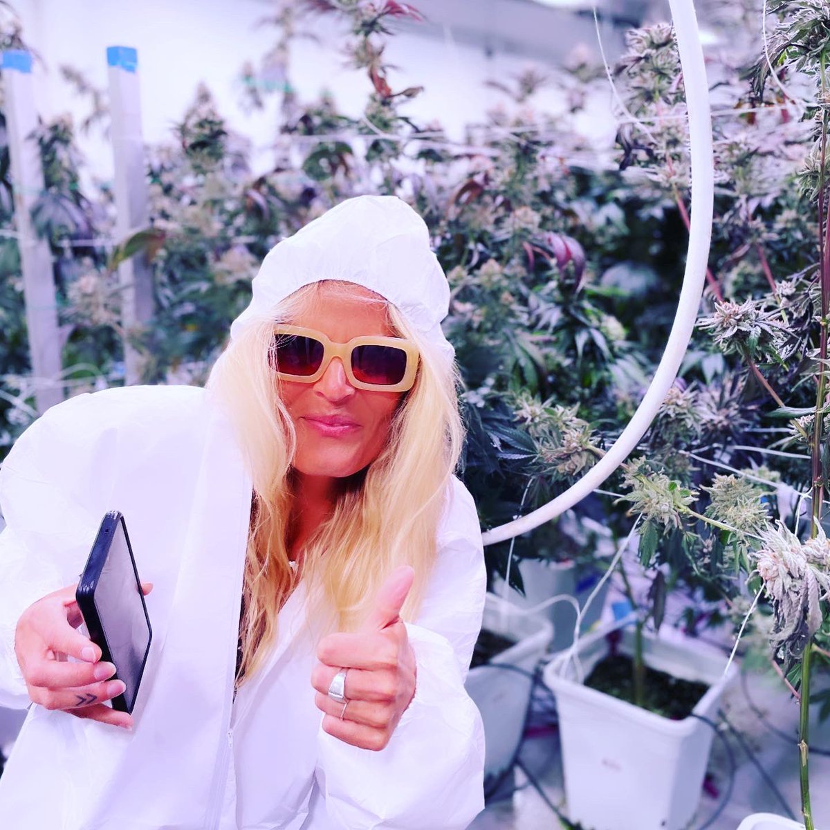 nextjenco's tweet photo. Can’t complain when I’m surrounded by Mary Jane … 🌿 #highfives 🙌 https://t.co/4c5PVprk3X