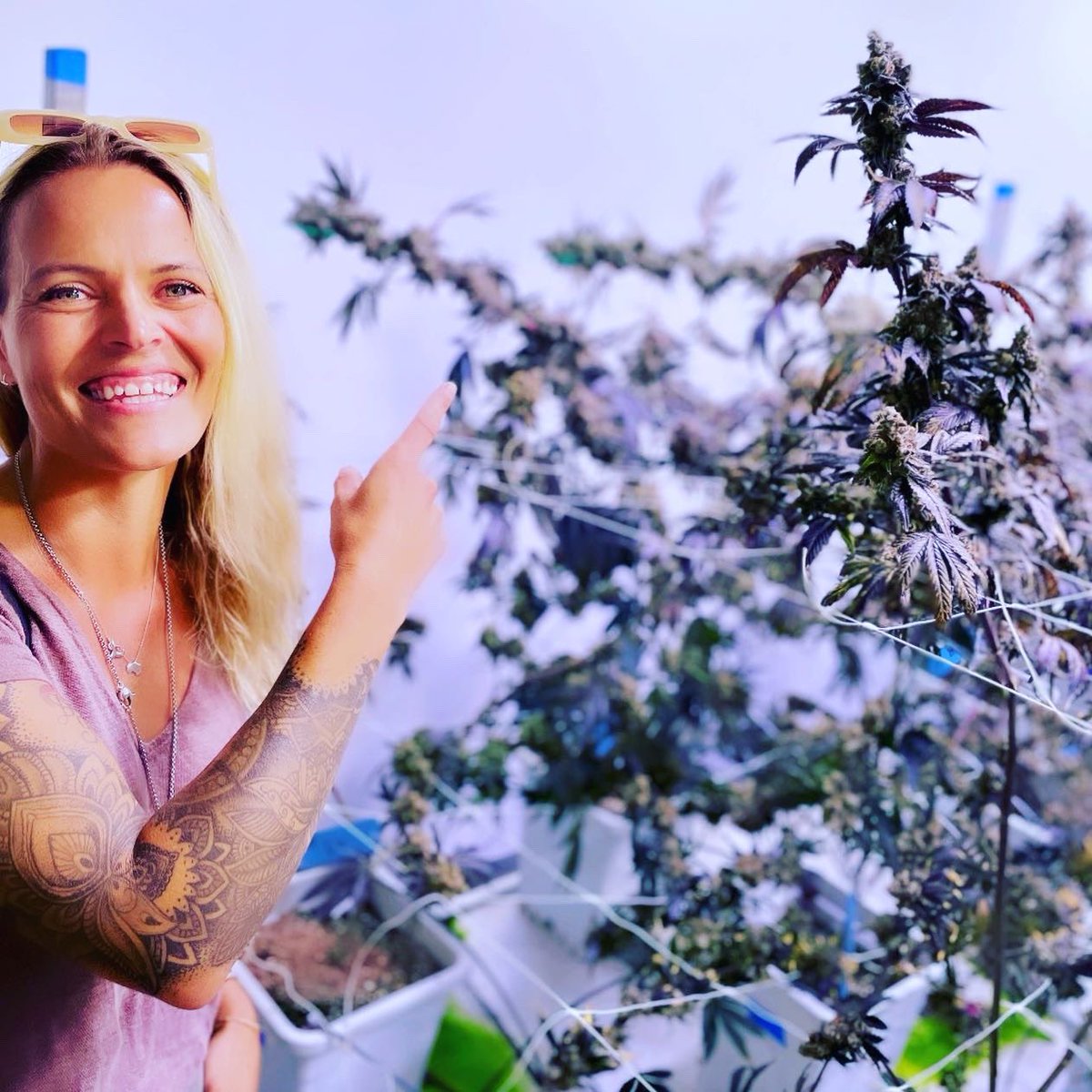 nextjenco's tweet photo. Can’t complain when I’m surrounded by Mary Jane … 🌿 #highfives 🙌 https://t.co/4c5PVprk3X
