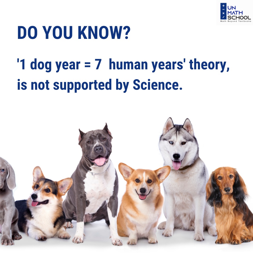 UnmathSchool's tweet photo. Tag your friends who got furry friends and help them find the real age of their dog using this general guideline. #letsunmath

@raashibathija @Negarg0028 @DiveshNBathija 

#nationaldogday #dogday https://t.co/x9RH40NLss