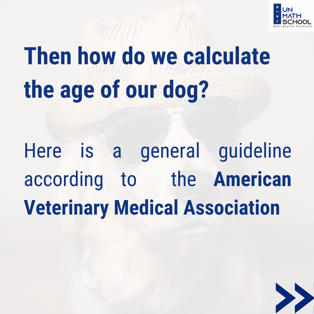 UnmathSchool's tweet photo. Tag your friends who got furry friends and help them find the real age of their dog using this general guideline. #letsunmath

@raashibathija @Negarg0028 @DiveshNBathija 

#nationaldogday #dogday https://t.co/x9RH40NLss