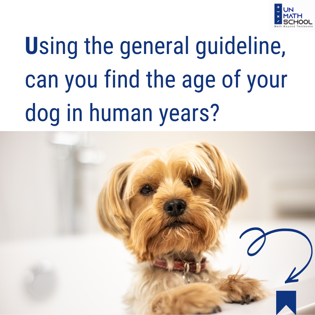 UnmathSchool's tweet photo. Tag your friends who got furry friends and help them find the real age of their dog using this general guideline. #letsunmath

@raashibathija @Negarg0028 @DiveshNBathija 

#nationaldogday #dogday https://t.co/x9RH40NLss