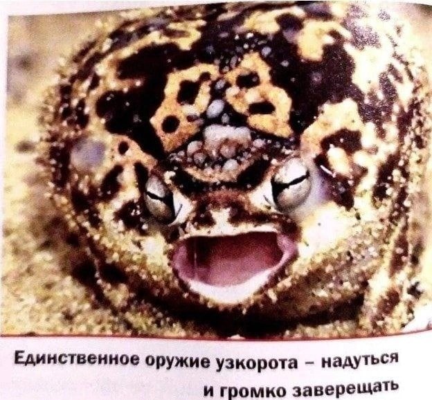 dochmillionera's tweet photo. #сероволг 
Сергей против железных аргументов Олега: https://t.co/DlUhJWavaZ