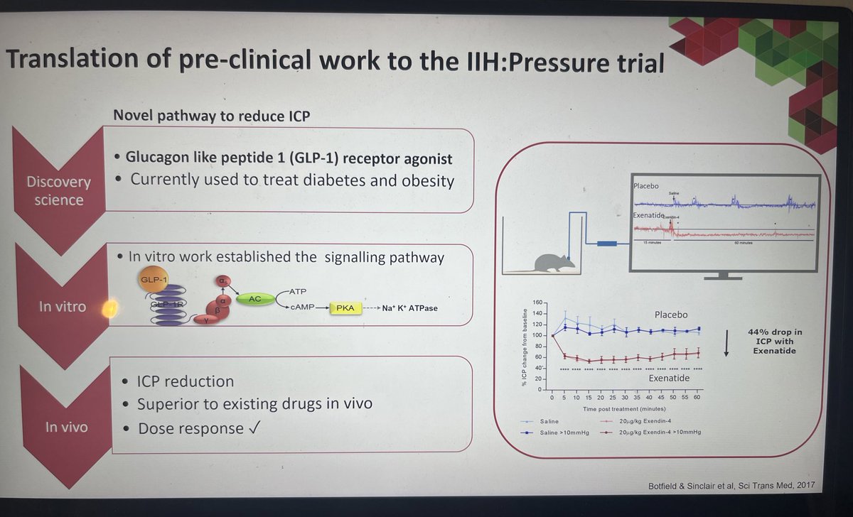 BrainLabBhamUk's tweet photo. Exiting times: treatment developments for #IIH with GLP-1RA—> Presented at Australian New Zealand Headache Society @AusNZHeadSoc next to phase 3 trial @DrMollan @ArmyBrainDoc @IIHUK @NANOSTweets @EHF_Official @BHPComms https://t.co/2tljTB1LN8