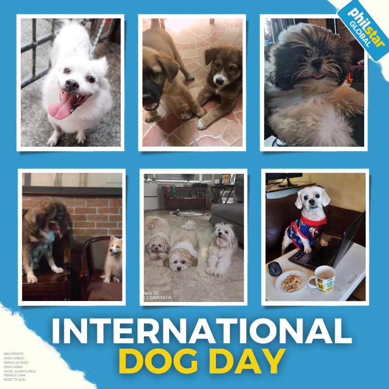 PhilstarNews's tweet photo. IT'S PHILSTAR PETS' TIME TO SHINE. 🐾 🐶

This #InternationalDogDay, we present to you the adorable and irresistible https://t.co/3UWeeHiNED fur babies! https://t.co/ggcI6hbEE1