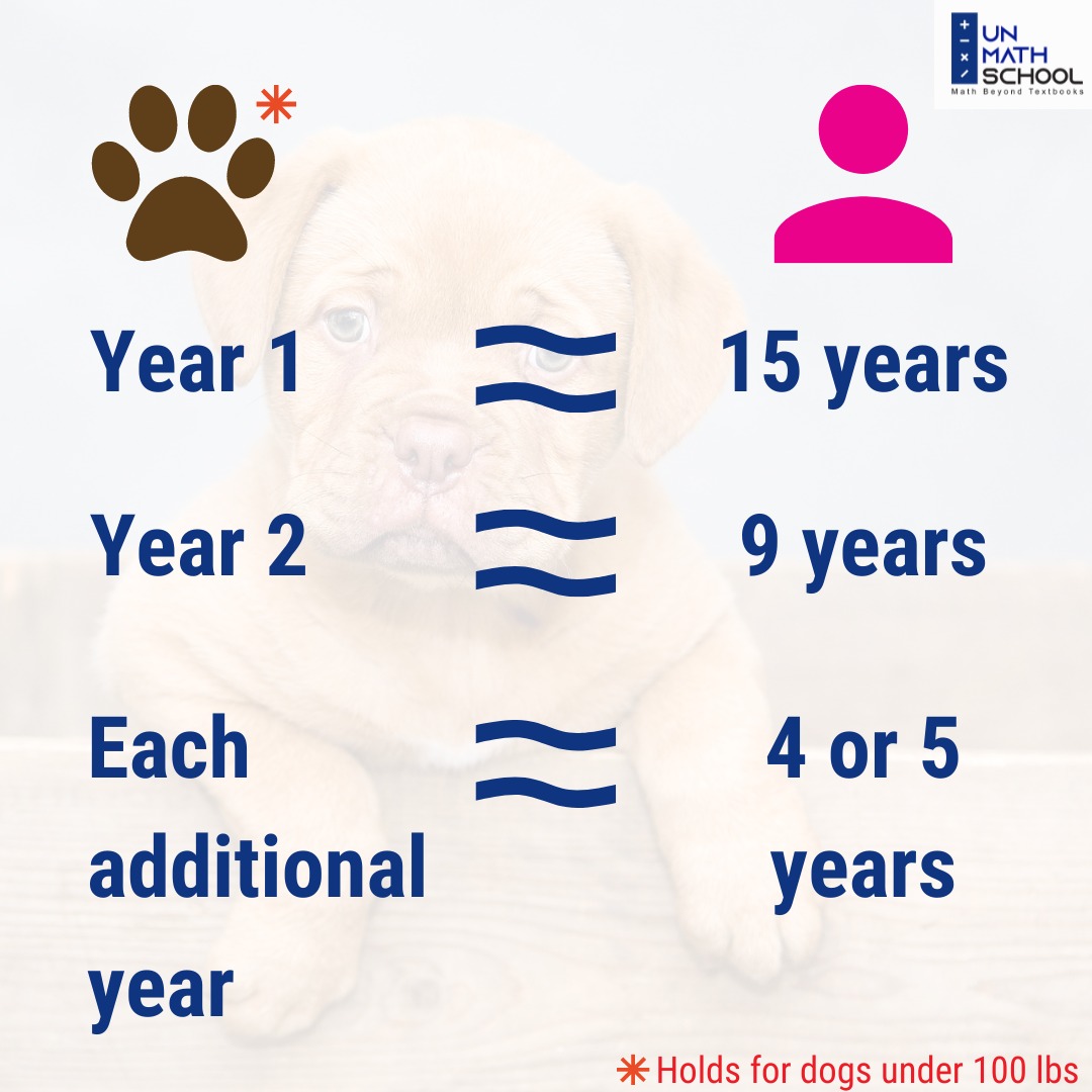 UnmathSchool's tweet photo. Tag your friends who got furry friends and help them find the real age of their dog using this general guideline. #letsunmath

@raashibathija @Negarg0028 @DiveshNBathija 

#nationaldogday #dogday https://t.co/x9RH40NLss