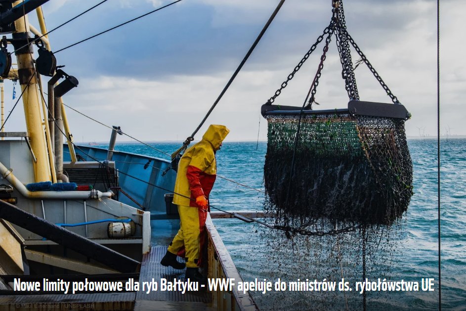 WWF_Polska's tweet photo. Jest propozycja KE @EU_MARE limitów połowowych dla ryb Bałtyku na 2023r. WWF apeluje do ministrów ds. rybołówstwa UE, od których zależy ostateczna decyzja, o zrównoważone limity połowowe zgodne z rekomendacjami naukowymi @ICES_ASC #SaveBalticCod https://t.co/TOos9UKB1b https://t.co/d1UqYqD9j1