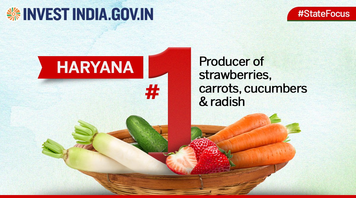 investindia's tweet photo. #StateFocus

#Haryana is home to over 3000 operative food processing units!

Learn more: https://t.co/2c7VPgmERb

#InvestInIndia #InvestIndia @APEDADOC https://t.co/pSsQ0zjLL7