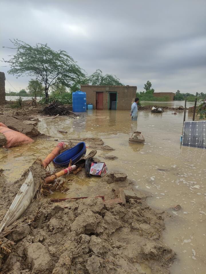 umar_mehsud's tweet photo. ٹانک کے نواحی گاؤں بولٹن آباد میں لوگوں کو شدید مالی نقصان ہوا ہے۔ ایسے ایسے گھر ہے جو مکمل طور پر تباہ ہوئے ہے۔ انہیں مدد کی اشد ضرورت ہے #FloodsInPakistan #SaveTank #Swat #Kpk https://t.co/jgFTJAP1Yq