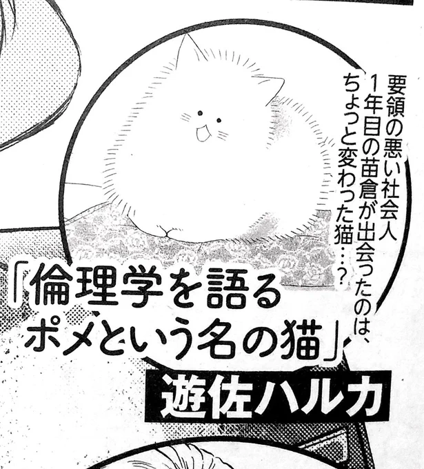 【告知】9/26発売の秋田書店エレガンスイブ11月号にて、ショート漫画が載ります!🐱
また来月になりましたらお知らせします～😊😊😊
よろしくお願いいたします!✨ 