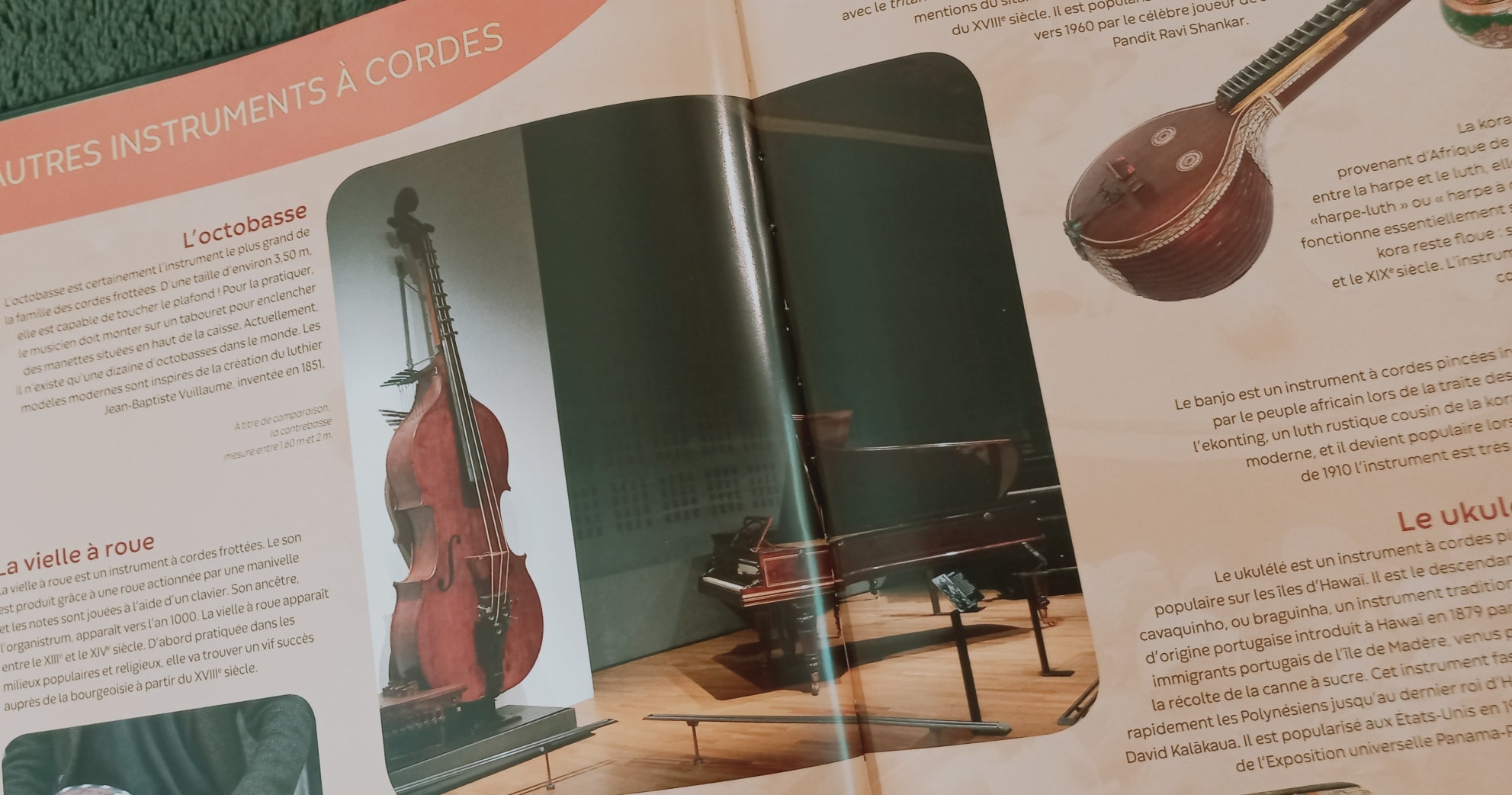 Le violon « Alphons » – L'Instrumentarium de l'Insolite