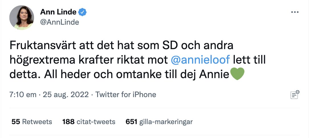 Ann Linde är alltså vår utrikesminister. Det borde ha varit chockerande om man inte hade blivit helt avtrubbad av den här sortens anklagelser.