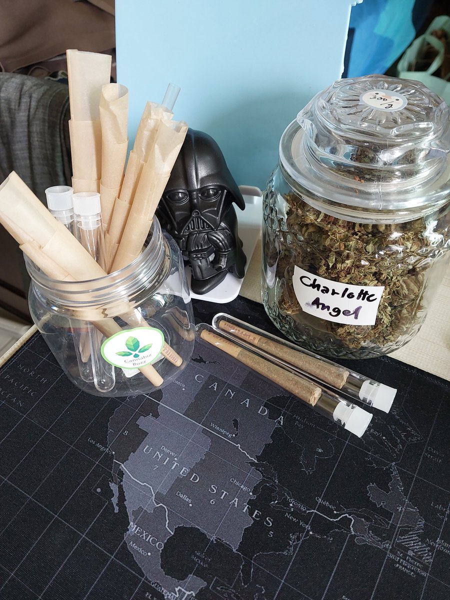 cannabizarena's tweet photo. Now, to #states #canada shout out from another side #Thailand #bangkok #enjoint #shoutout #cannabiscomunity #cannabisculture #cannabiscomunity #STONER https://t.co/rapDke8Buh