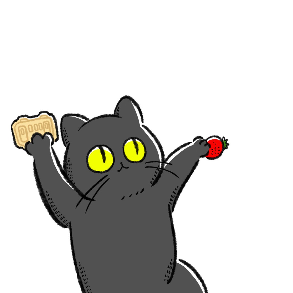 food no humans cat strawberry white background holding simple background  illustration images