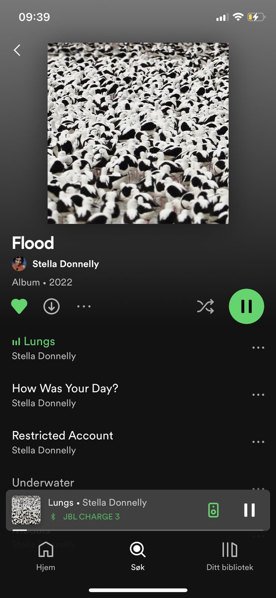 Finally, the new @stelladonnelly record is out! Give it a listen ‘cause her music be boppin’ hard 💯