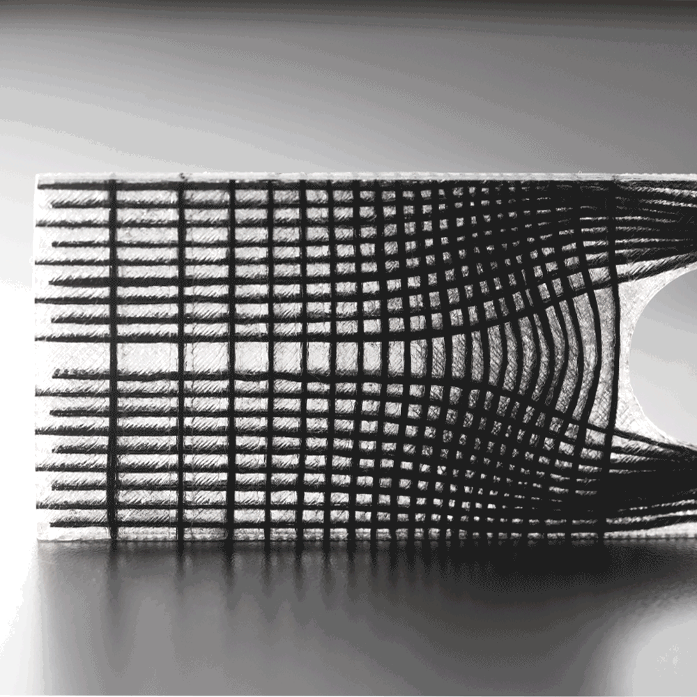 Anisoprint Team tweet media