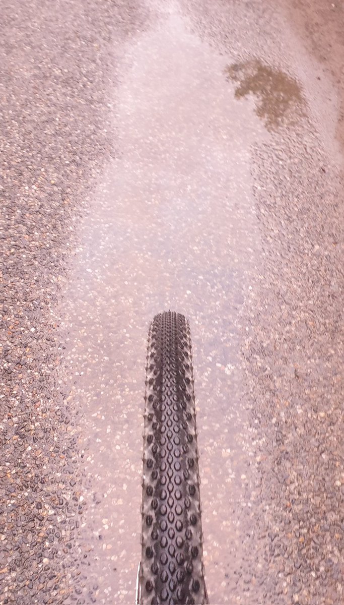 Marco Mout tweet media