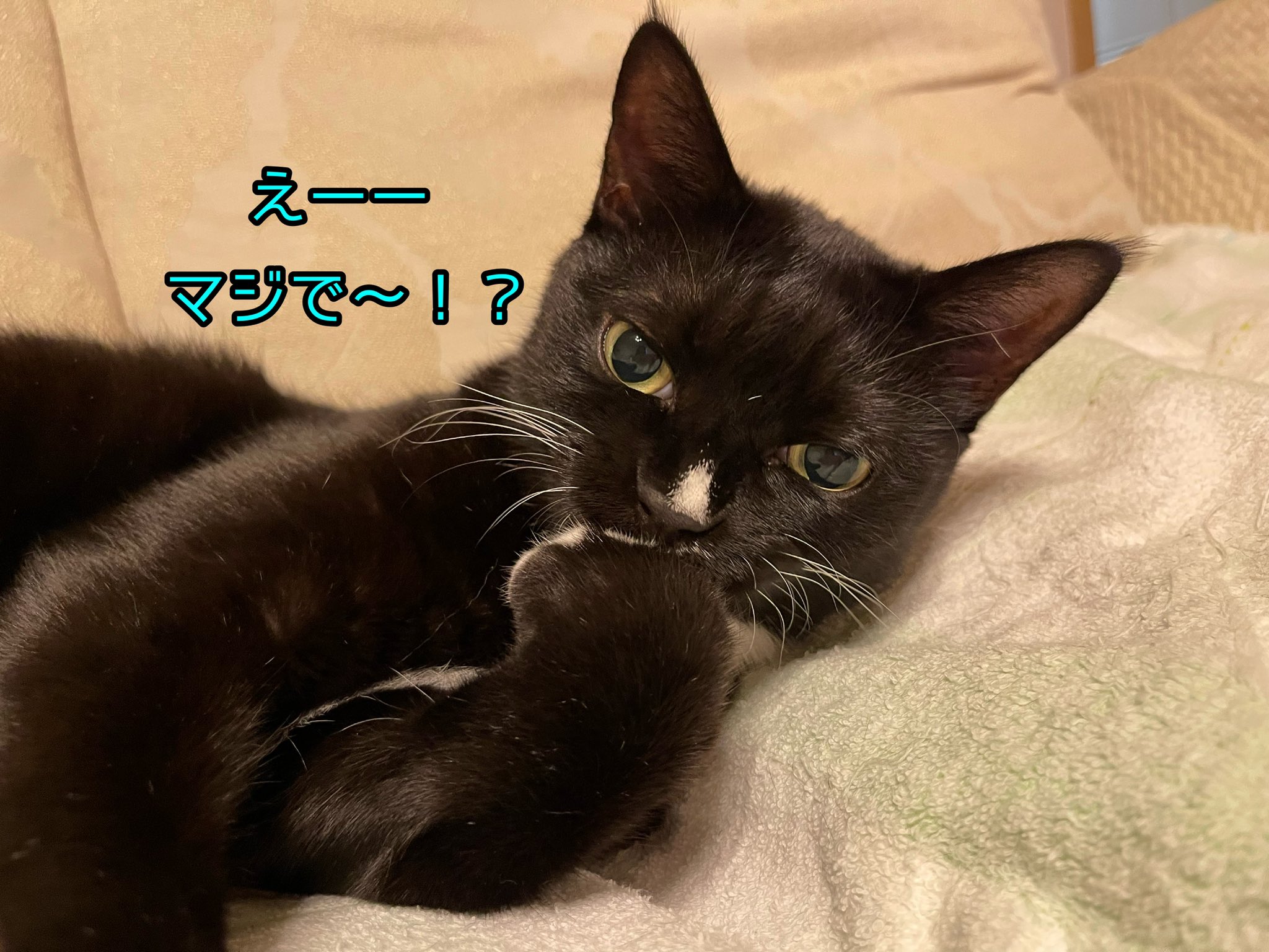 Vvbsjtceqrnj9m