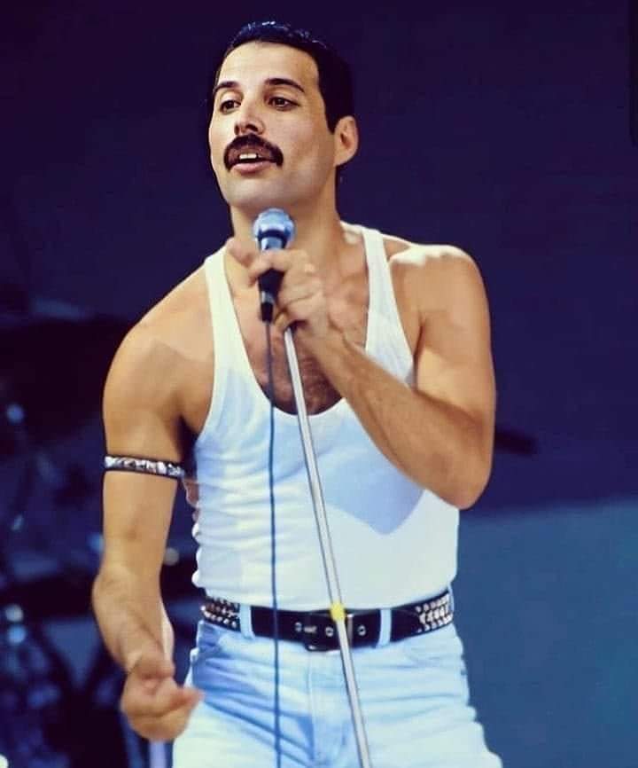 aqueenofmagic's tweet image. Happy #FreddieFriday!