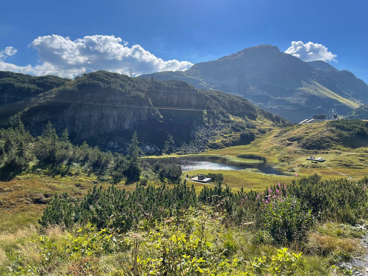 StantonReview's tweet photo. Hoping to brighten your day with these stunning shots! 😍
#stantonamarlberg
👉 The Weather: https://t.co/SYkLXrS8vx
👉 Events: https://t.co/2XVmcWYxtX
👉 Accommodation: https://t.co/5IKix0I8rI
📍#Galzig - #Maiensee - #Stiegeneckkapelle
📸 S. Falch https://t.co/x7DDXL0CQA